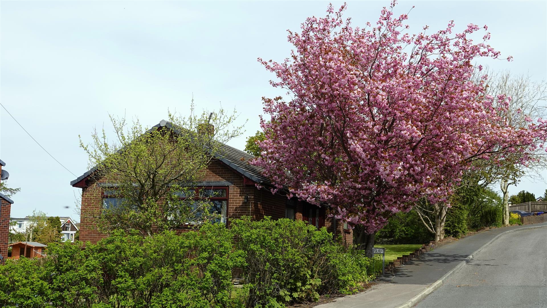 3 Bed Detached Bungalow For Sale - Main Image
